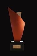 2014年度奥迪之星竞赛优胜金融保险经理